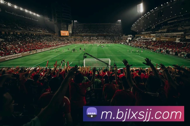 App Interface Preview